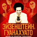 Эйзенштейн в Гуанахуато Постер Мелодрама