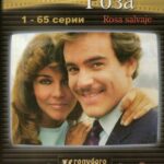 Дикая Роза Постер Мелодрама