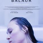Высший Закон Постер Мелодрама
